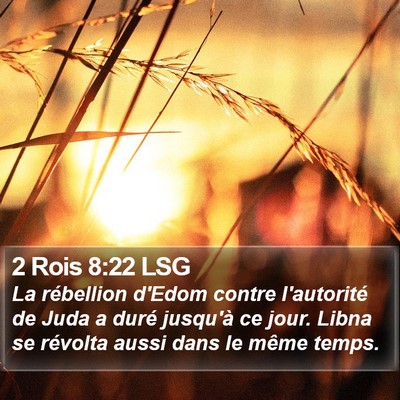 2 Rois 8:22 LSG Bible Verse Image