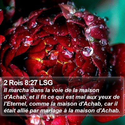 2 Rois 8:27 LSG Bible Verse Image