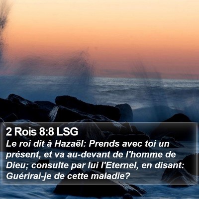 2 Rois 8:8 LSG Bible Verse Image