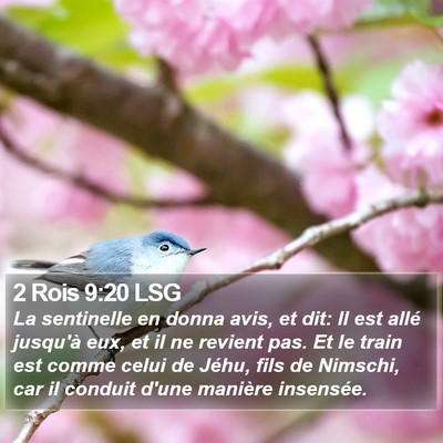 2 Rois 9:20 LSG Bible Verse Image