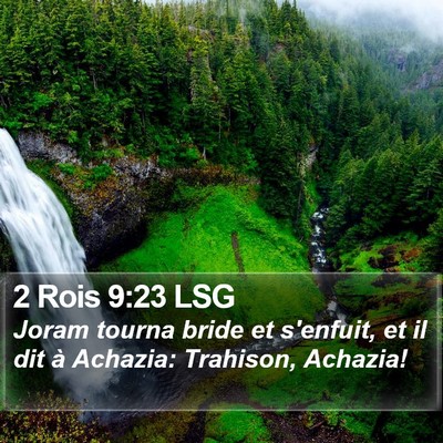 2 Rois 9:23 LSG Bible Verse Image