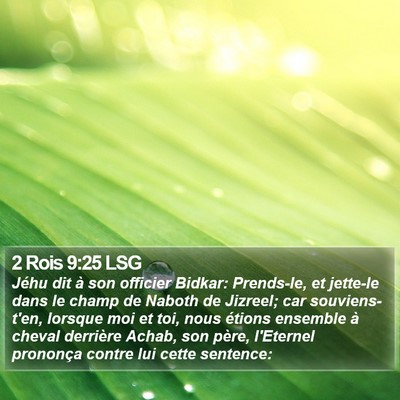 2 Rois 9:25 LSG Bible Verse Image