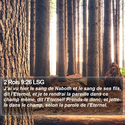 2 Rois 9:26 LSG Bible Verse Image