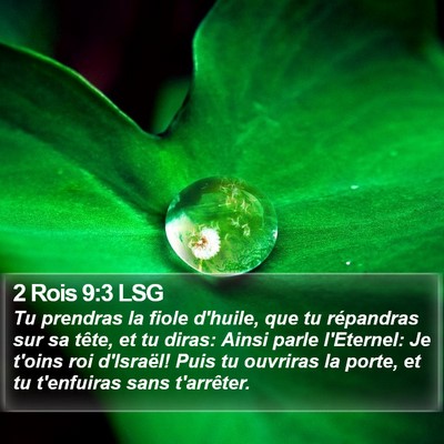 2 Rois 9:3 LSG Bible Verse Image