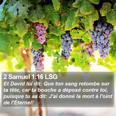 2 Samuel 1:16 LSG Bible Verse Image