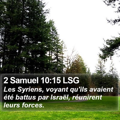 2 Samuel 10:15 LSG Bible Verse Image