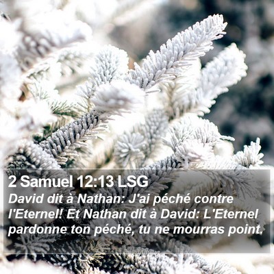 2 Samuel 12:13 LSG Bible Verse Image