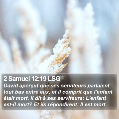 2 Samuel 12:19 LSG Bible Verse Image
