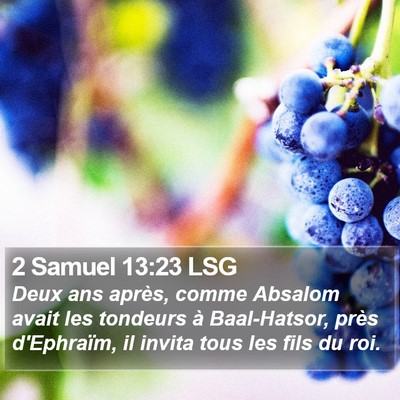 2 Samuel 13:23 LSG Bible Verse Image