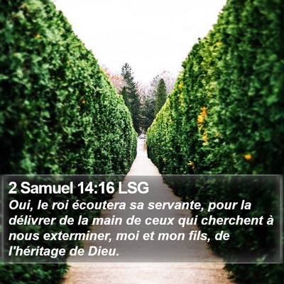 2 Samuel 14:16 LSG Bible Verse Image
