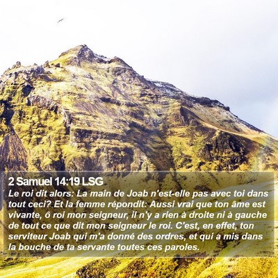 2 Samuel 14:19 LSG Bible Verse Image