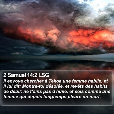 2 Samuel 14:2 LSG Bible Verse Image