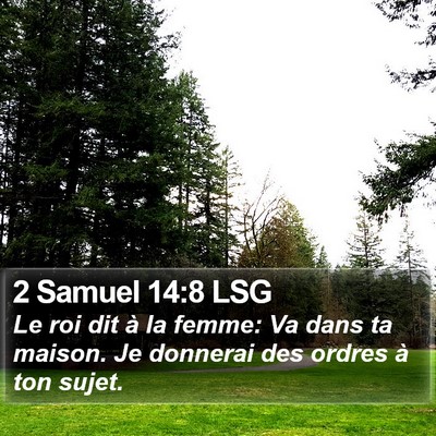 2 Samuel 14:8 LSG Bible Verse Image