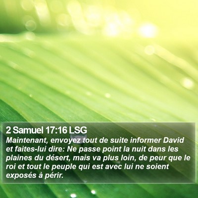 2 Samuel 17:16 LSG Bible Verse Image