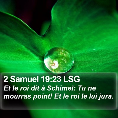 2 Samuel 19:23 LSG Bible Verse Image