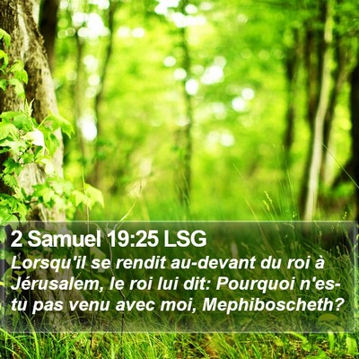 2 Samuel 19:25 LSG Bible Verse Image