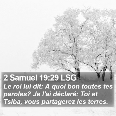 2 Samuel 19:29 LSG Bible Verse Image