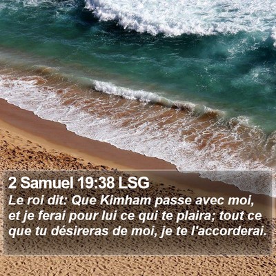 2 Samuel 19:38 LSG Bible Verse Image