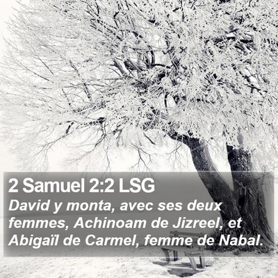 2 Samuel 2:2 LSG Bible Verse Image
