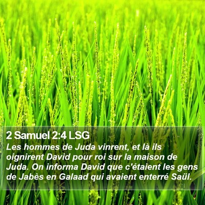 2 Samuel 2:4 LSG Bible Verse Image