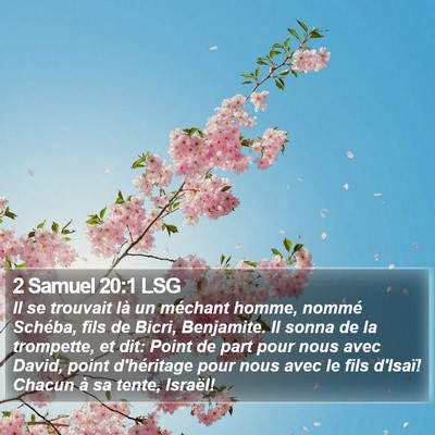 2 Samuel 20:1 LSG Bible Verse Image