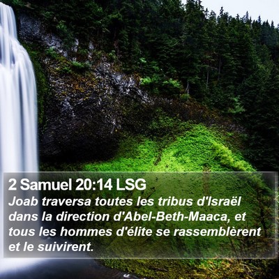 2 Samuel 20:14 LSG Bible Verse Image
