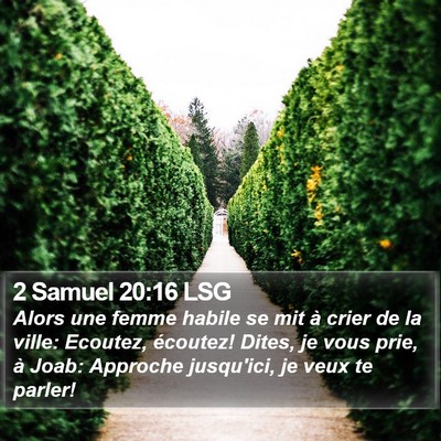2 Samuel 20:16 LSG Bible Verse Image