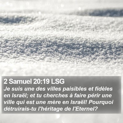 2 Samuel 20:19 LSG Bible Verse Image
