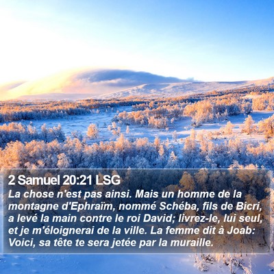 2 Samuel 20:21 LSG Bible Verse Image