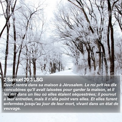 2 Samuel 20:3 LSG Bible Verse Image