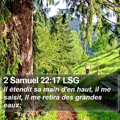 2 Samuel 22:17 LSG Bible Verse Image