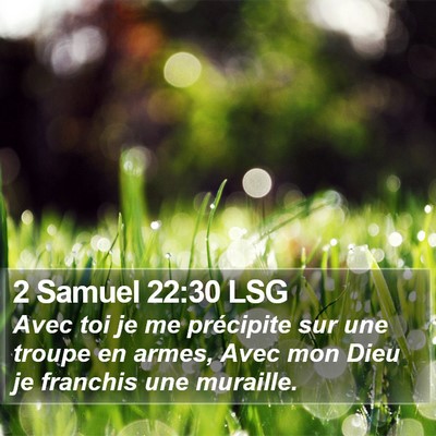 2 Samuel 22:30 LSG Bible Verse Image