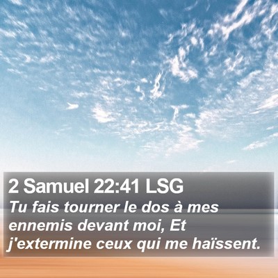 2 Samuel 22:41 LSG Bible Verse Image
