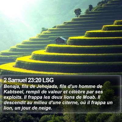 2 Samuel 23:20 LSG Bible Verse Image