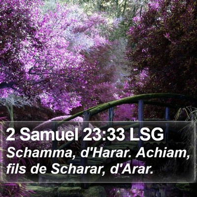 2 Samuel 23:33 LSG Bible Verse Image
