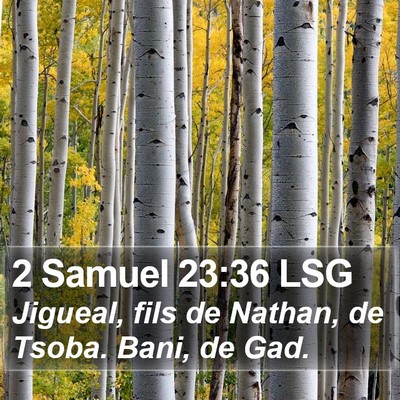 2 Samuel 23:36 LSG Bible Verse Image