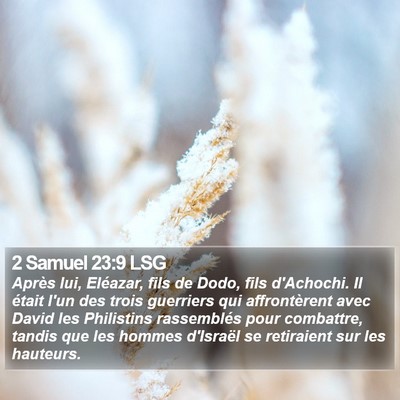 2 Samuel 23:9 LSG Bible Verse Image