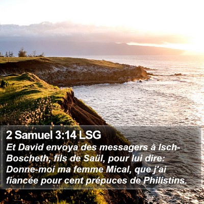2 Samuel 3:14 LSG Bible Verse Image