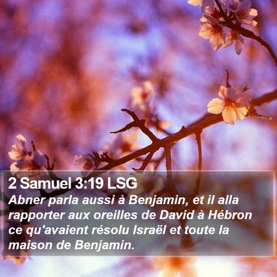 2 Samuel 3:19 LSG Bible Verse Image