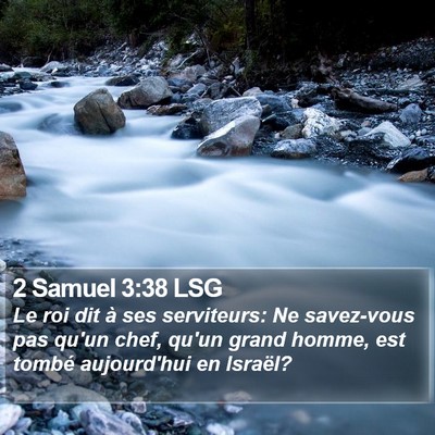 2 Samuel 3:38 LSG Bible Verse Image