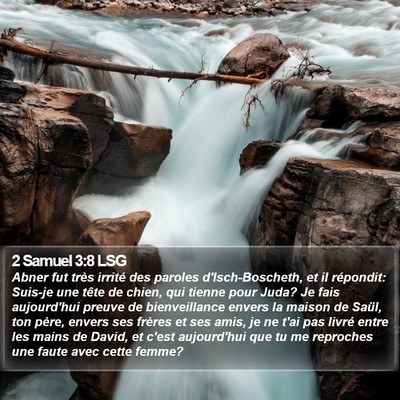 2 Samuel 3:8 LSG Bible Verse Image
