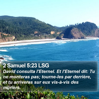 2 Samuel 5:23 LSG Bible Verse Image