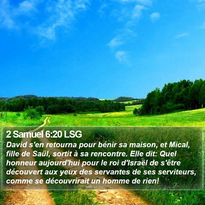 2 Samuel 6:20 LSG Bible Verse Image