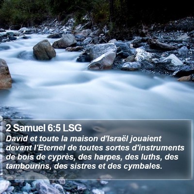 2 Samuel 6:5 LSG Bible Verse Image
