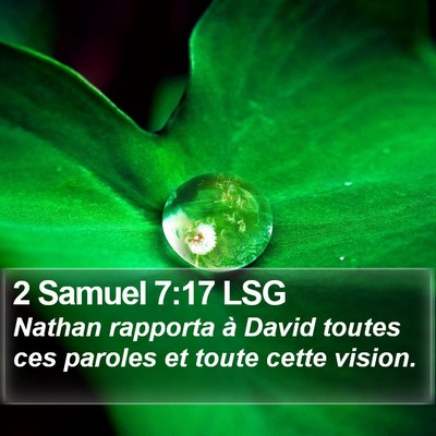 2 Samuel 7:17 LSG Bible Verse Image