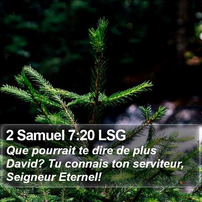 2 Samuel 7:20 LSG Bible Verse Image