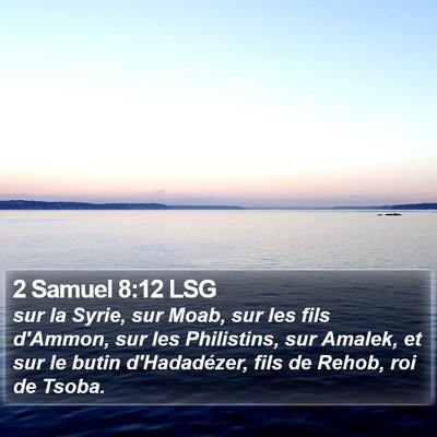 2 Samuel 8:12 LSG Bible Verse Image