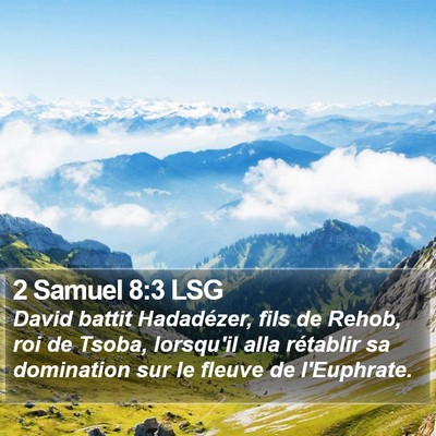 2 Samuel 8:3 LSG Bible Verse Image