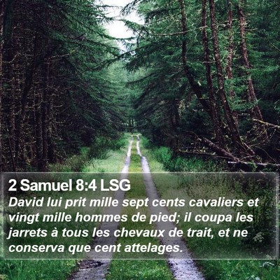 2 Samuel 8:4 LSG Bible Verse Image