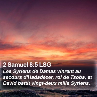 2 Samuel 8:5 LSG Bible Verse Image